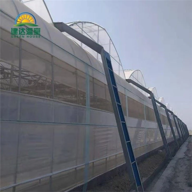 Film Greenhouse