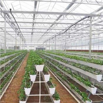 ایک فریم عمودی کاشتکاری گٹر پودے لگانے گرت