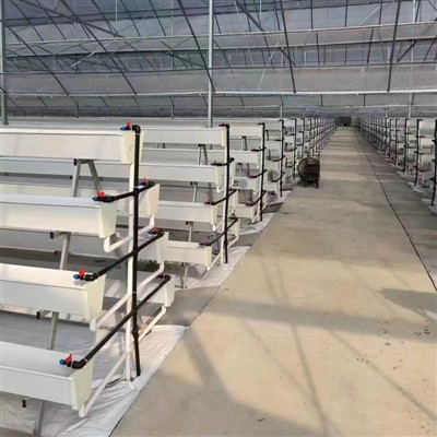 ایک فریم لگانے والا گٹر