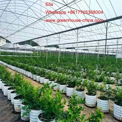 گرین ہاؤس کی تاریخ
