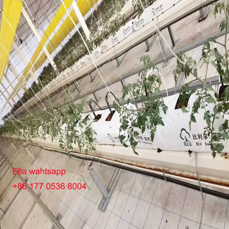 tomato gutter tomato gutter