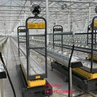 عام گرین ہاؤس ماڈل