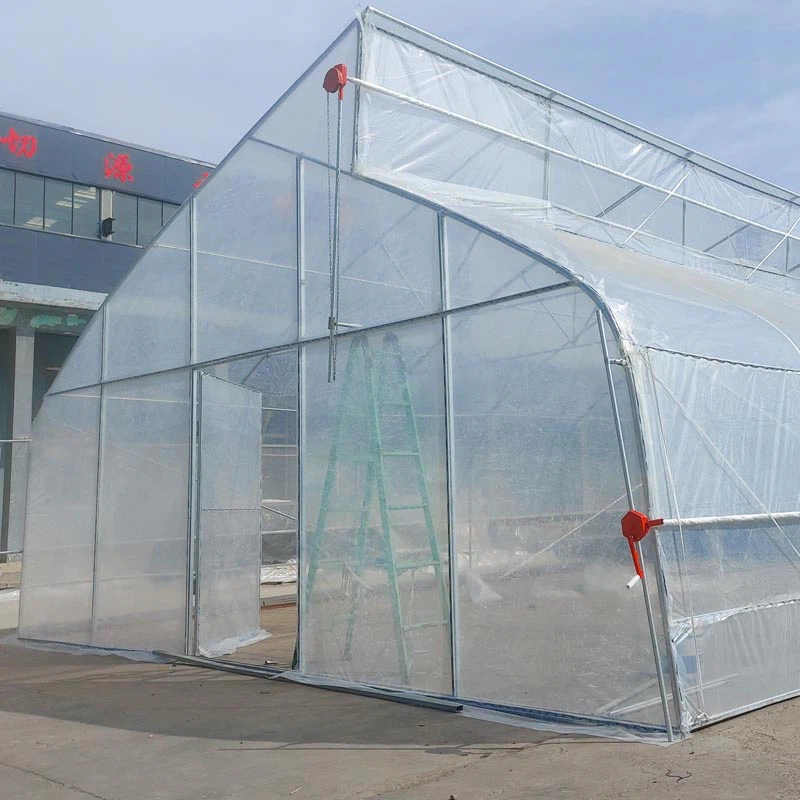 gothic greenhouse gothic greenhouse